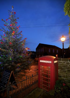 haworth christmas tree sm.jpg
